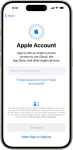 Sign in Apple id