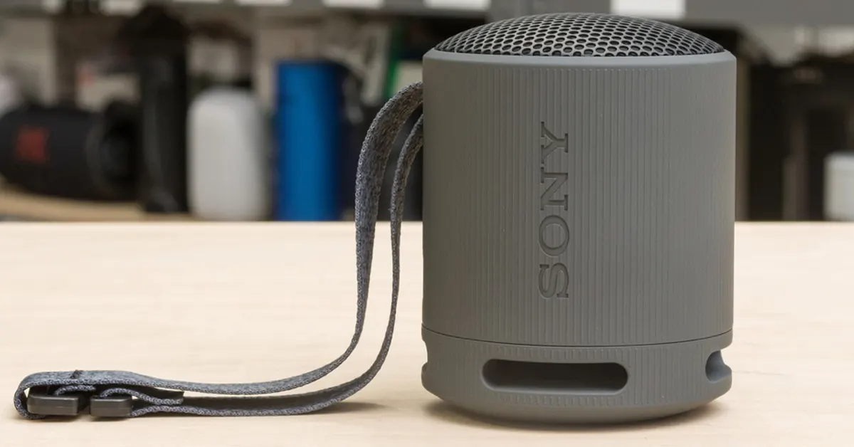 Sony SRS-XB100 Wireless Bluetooth Speaker