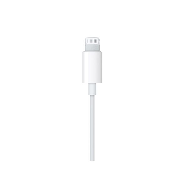 Lightning Connector.