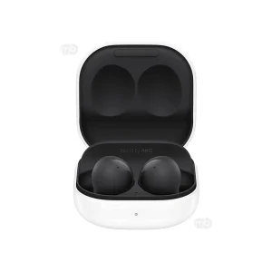 Galaxy Buds 2 Graphite