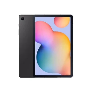 Galaxy Tab S6 Lite Gray