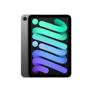 Ipad Mini 7