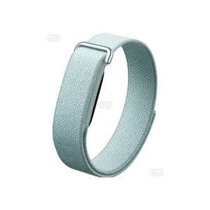 Google Fitbit Air