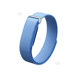 Google Fitbit Air