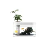 Xiaomi Geometry Fish Tank Transparent Aquarium