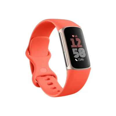 Google Fitbit Charge 6